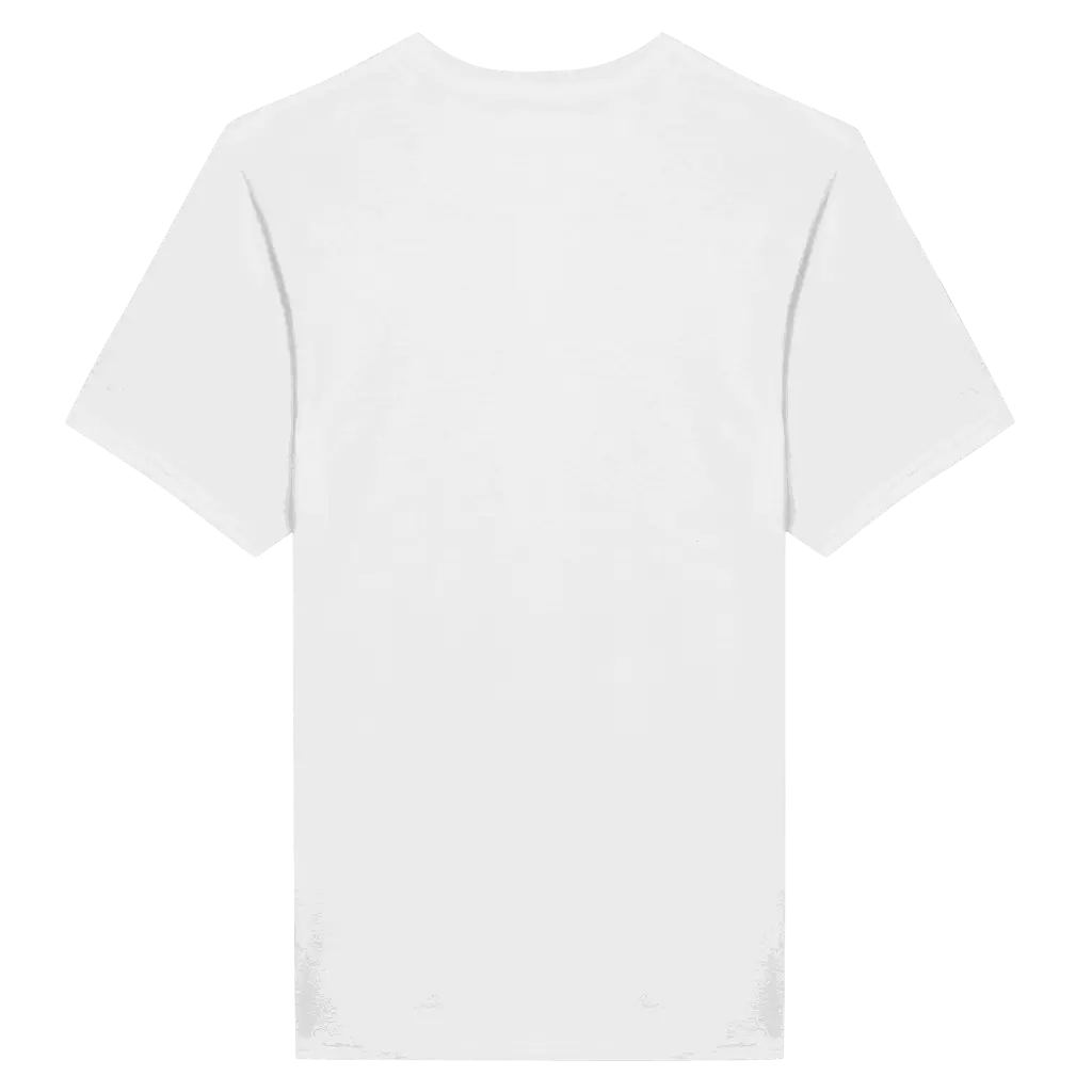 editor_back.webp