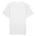 editor_back.webp